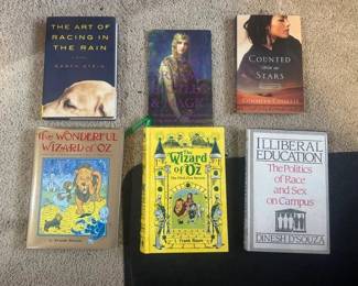 EFF024 - Mixed Book Lot – Classic Literature, Fantasy, Fiction & Nonfiction 