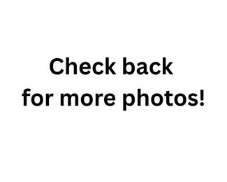 Check back for more photos