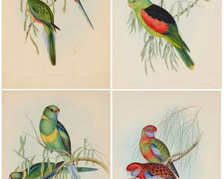 1198
After John Gould
(1804-1881)
Four plates from "The Birds of Australia," 1848
Each: Lithograph with hand-coloring on paper
Each from the edition of unknown size
Each with the name of the artist and lithographer in the stone at lower left: J. Gould and H. C. Richter del et lith; with the Latin title in the stone at lower center; with the name of the printers in the stone at lower right: Hullmandel & Walton Imp.(on the first two plates). or printer in the stone at lower right: Hullmandel Imp. (on the second two plates)
Sight of each: 20.75" H x 13.5" W
Estimate: $800 - $1,200