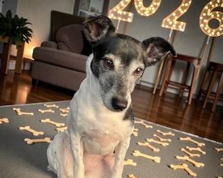 WOW  Wishing you all Lots of BONES and WAGS in 2026