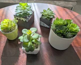 FAUX SUCCULENTS