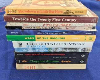 NATIVE AMERICAN NOVELS