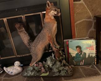 Wolves, and ducks, and Elvis - oh my!