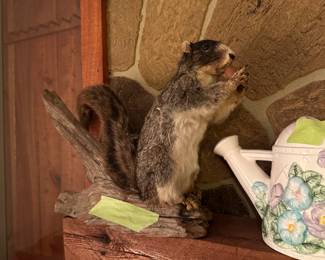 Is that a squirrel running through my mind!?