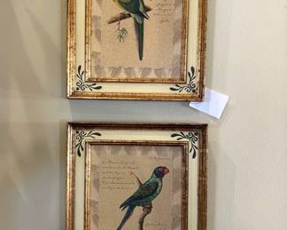 Parrot Prints