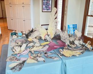 seashell and coral sea fan collection