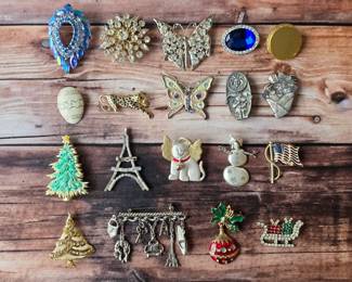 Jewelry and vintage jewelry / Brooches and pins