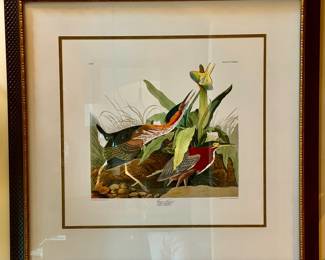 Large limited edition bird litho