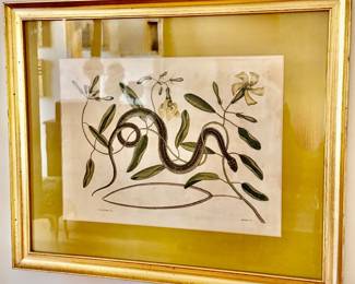 RARE 18th C Mark Catesby