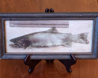 Record Scottish salmon photo printed on silk early 20th century. 
