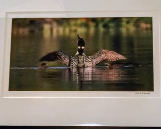 Jon M. Flemming Loon Signed Print