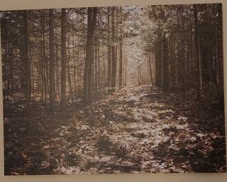 Northern Michigan in the Fall-Photograph