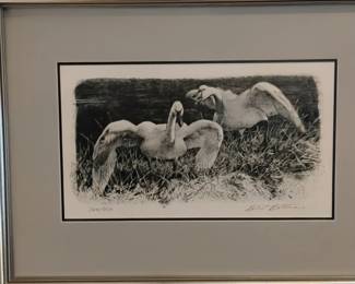 Swan Print by Robert Bateman