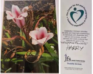 framed photo Art "Wrapped Flowers" by Harry Samelson - sponsored by the Center for Art and Photography.  Helping the disabled.