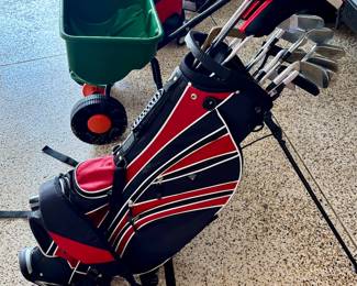 Go Dawgs.   PSA warning, these will not help your game.