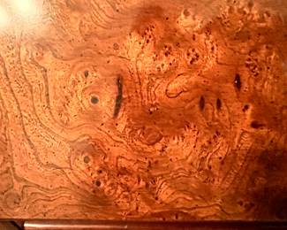 ONLY GOD COULD DESIGN THIS!