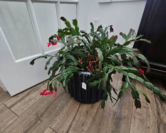 att.n8SPHWGaJNeSVD ReQagavLCsvVhNt48E65Uz5VxnI