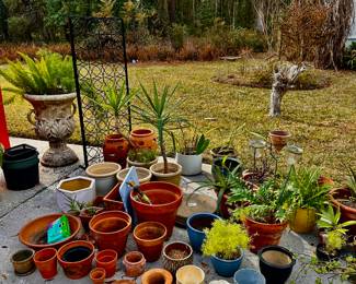 Plethora of Pots