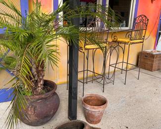 Terracotta Turtle and Pigmy Date Palm