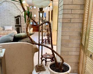 Dracaena Potted Plant