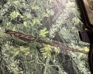 Polaris side-by-side