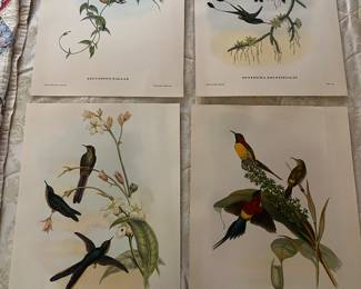 Gould prints 
