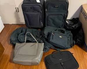 Lot 316  Various Travel and Business Bags Lot