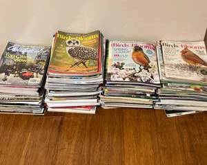 Lot 298  Mixed Collection of Watercolor Artist and Birds  Blooms Magazines