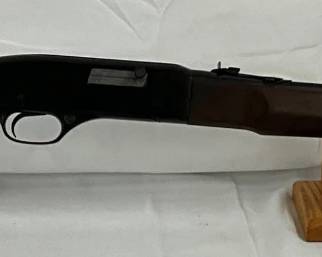 Winchester Model 190 .22LR Semi-Automatic Rifle