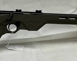 Citadel Tracker 17HMR with Threaded Barrel and Adjustable Stock