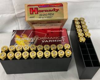 Hornady 22-250 Ammunition, 31 Rounds Total