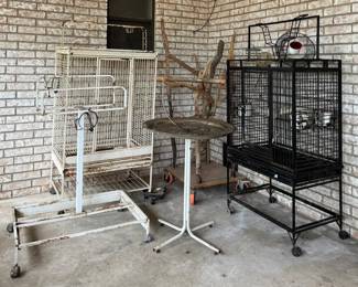 Premium Parrot Enclosure Enrichment Collection