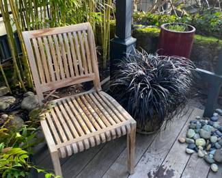 Plants and pots for in person shopping Friday and Saturday.  Also another of the Smith & Hawkins chairs