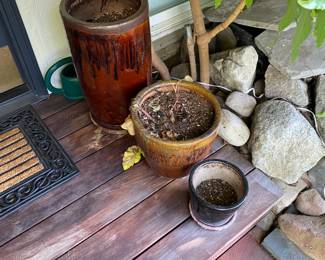 Plants and pots for in person shopping Friday and Saturday.