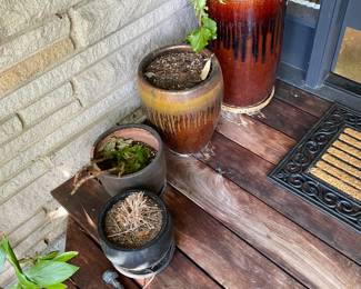 Plants and pots for in person shopping Friday and Saturday.