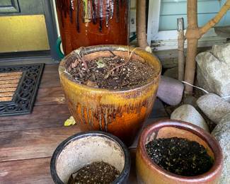 Plants and pots for in person shopping Friday and Saturday.