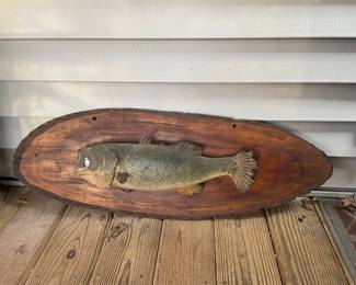 Bass Fish Wood Plaque