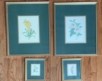 Framed Botanical Prints 