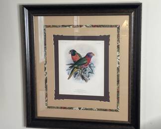 Framed Print: "A Monograph of the Lories, or Brush-Tongued Parrots" 