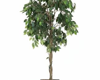 Artificial Ficus Tree