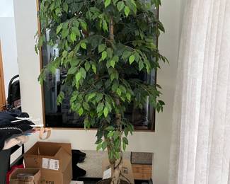 Faux tree. $10. 88" tall