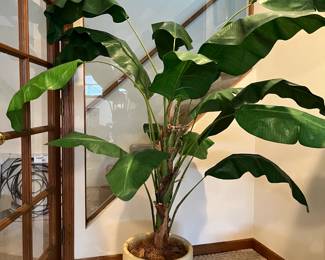 Faux plant. $20. 64" tall