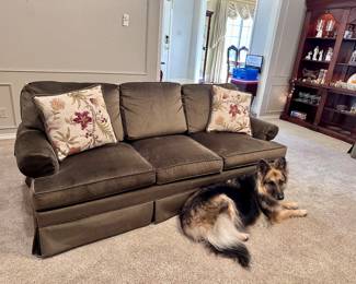 Nice Queen Size Sleeper Sofa