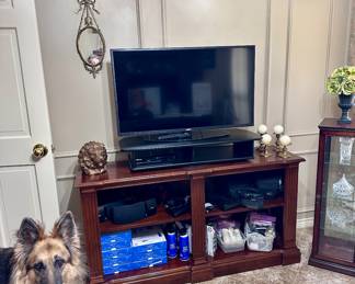 Television - Bookcase / Cabinet