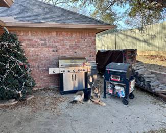 Grills - Large Christmas Tree 