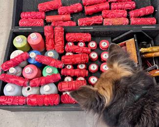 Chica is ALWAYS Helping!! 