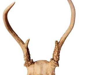 Vintage Antler Rack