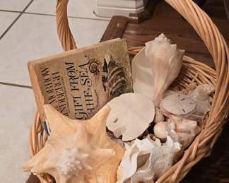 Basket of Sea Shells 