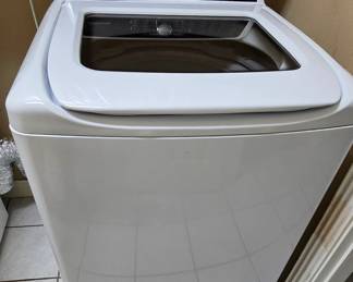 Frigidaire Washer 