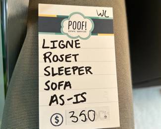 Ligne Roset Sleeper Sofa